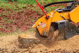 Best Lawn Grading and Leveling  in Holliday, TX